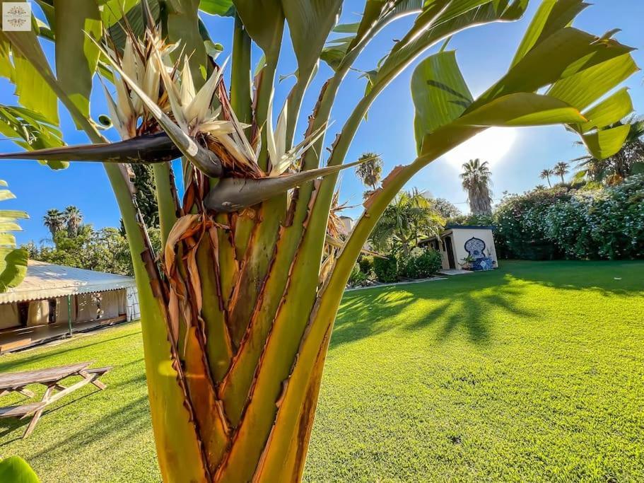 Finca Tierra Sana Estepona Exterior foto