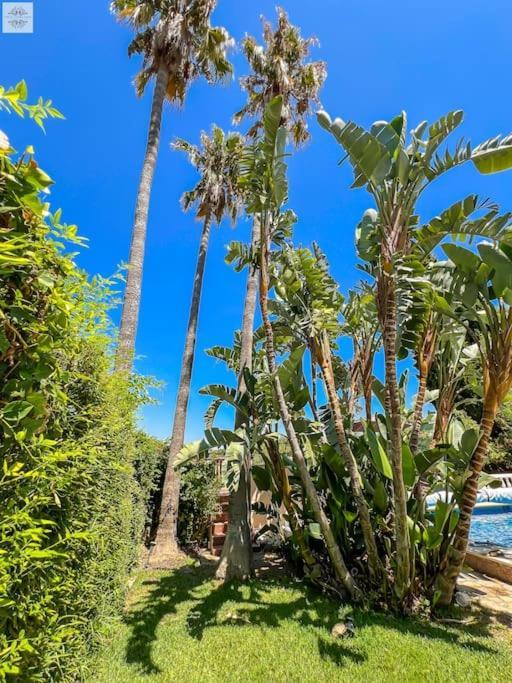 Finca Tierra Sana Estepona Exterior foto